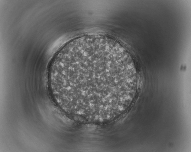 X0000110890339200907161531