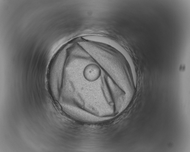 X0000110890340200907161531