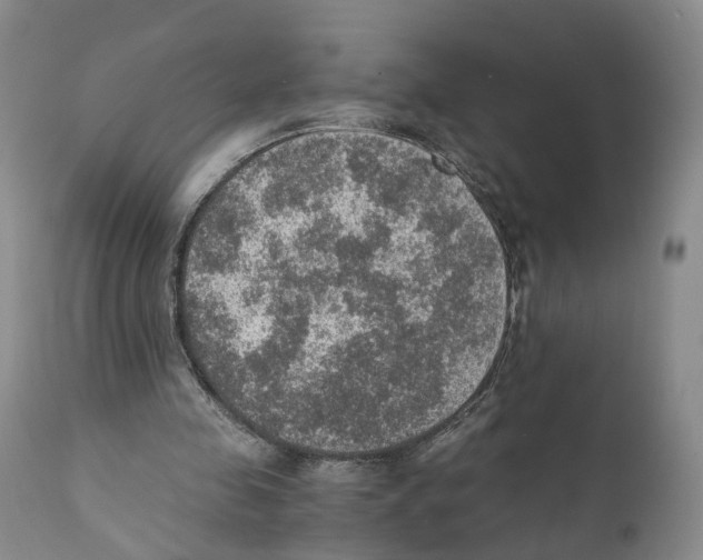 X0000110890341200907161531
