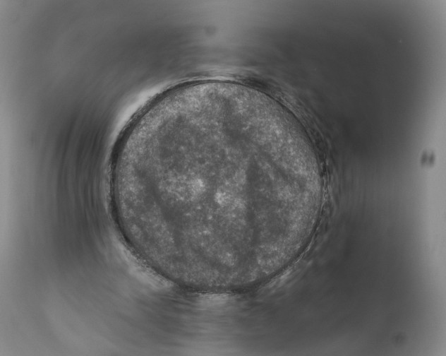 X0000110890342200907161531