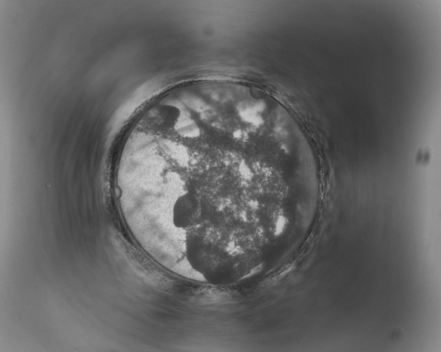 X0000110890343200907161531