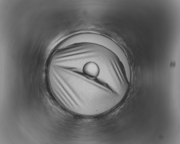 X0000110890344200907161531