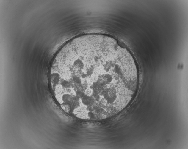 X0000110890345200907161531