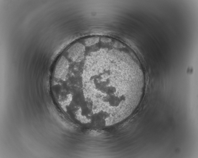 X0000110890346200907161531