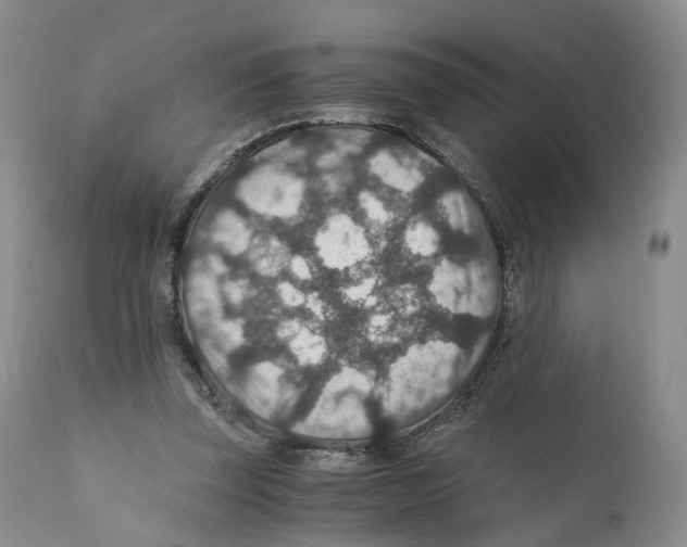 X0000110890347200907161531