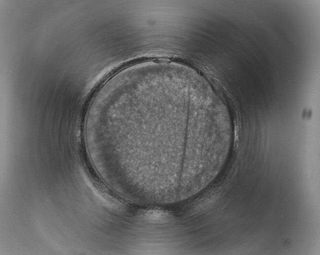 X0000110890348200907161531