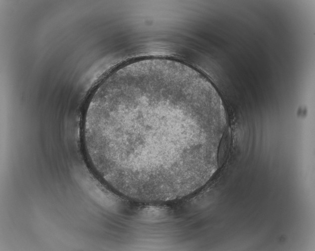 X0000110890350200907161531