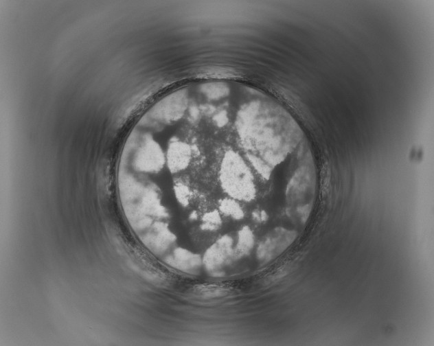 X0000110890351200907161531