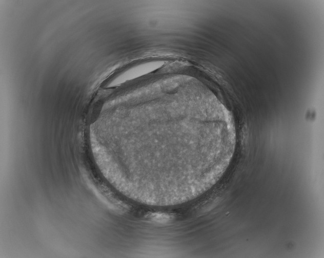 X0000110890352200907161531