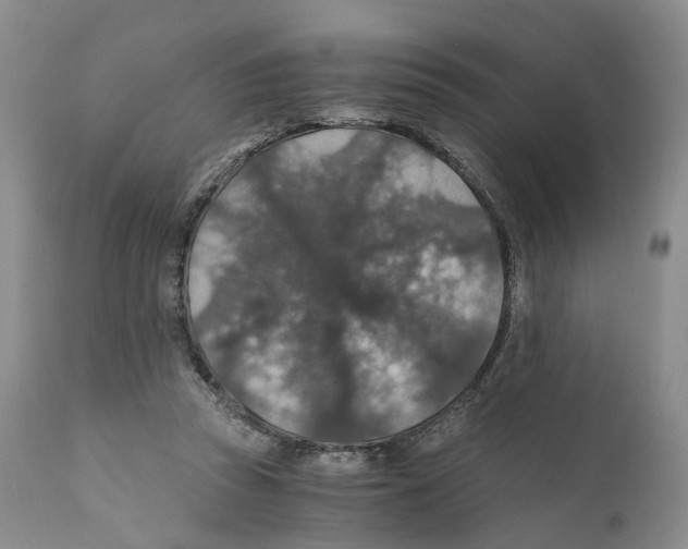 X0000110890353200907161531