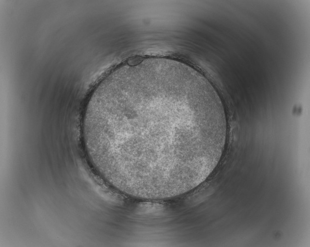 X0000110890354200907161531