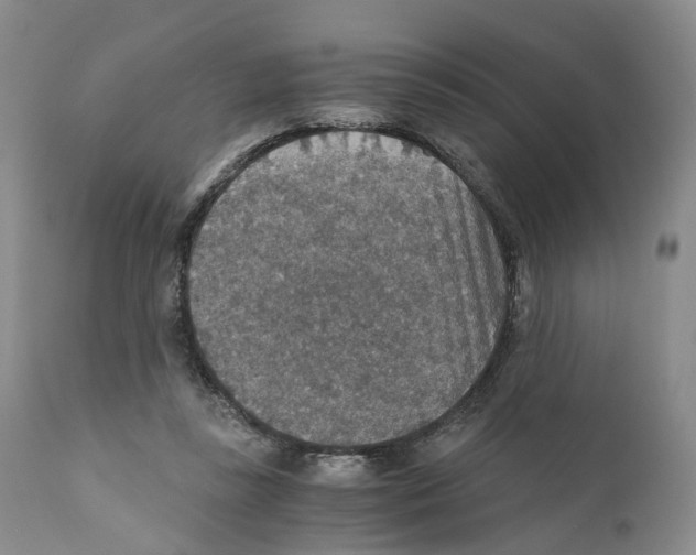 X0000110890355200907161531