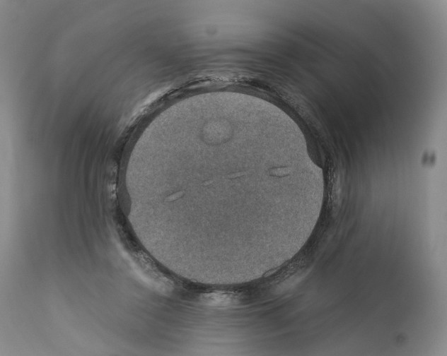 X0000110890356200907161531