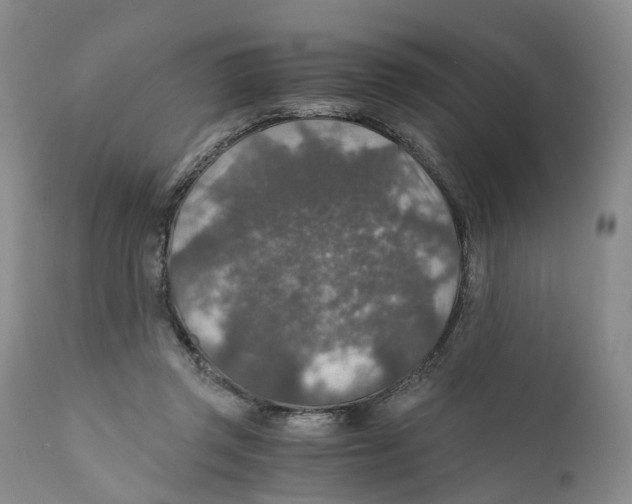 X0000110890357200907161531
