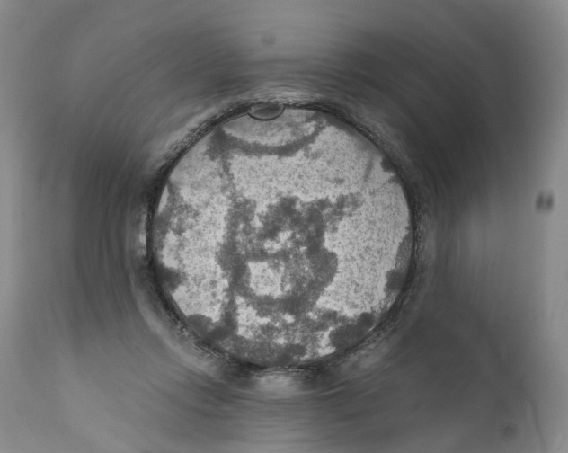 X0000110890358200907161531