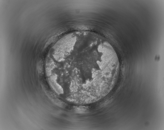 X0000110890359200907161531