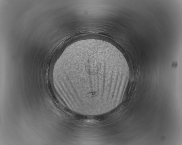 X0000110890360200907161531