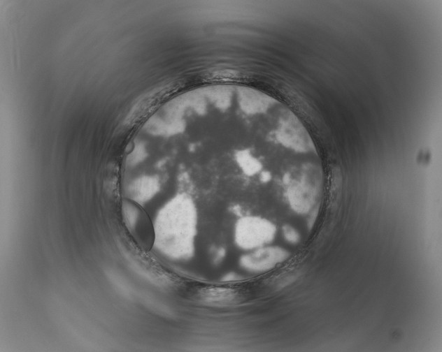 X0000110890361200907161531