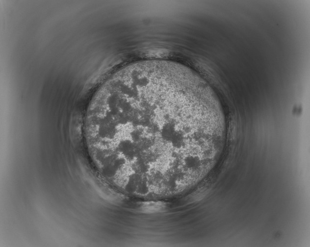 X0000110890363200907161531