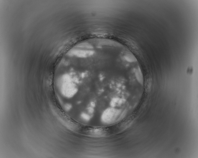 X0000110890365200907161531