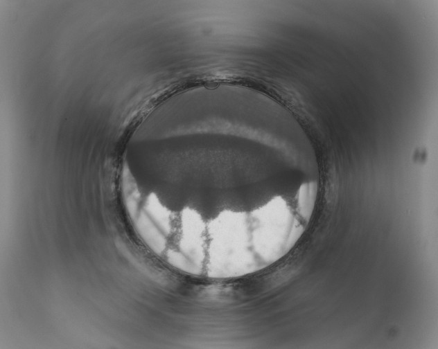 X0000110890366200907161531
