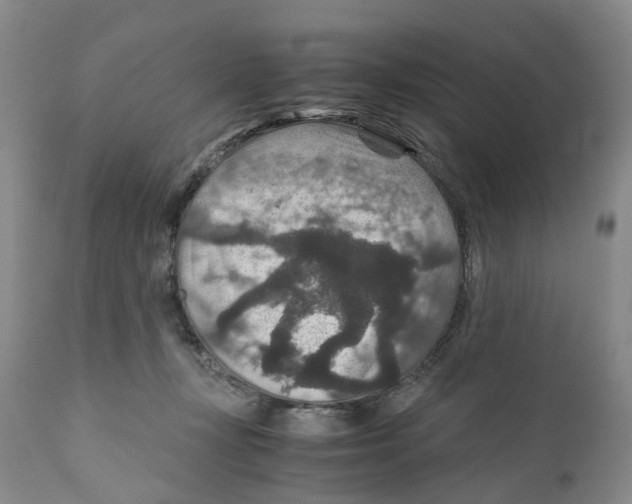 X0000110890367200907161531
