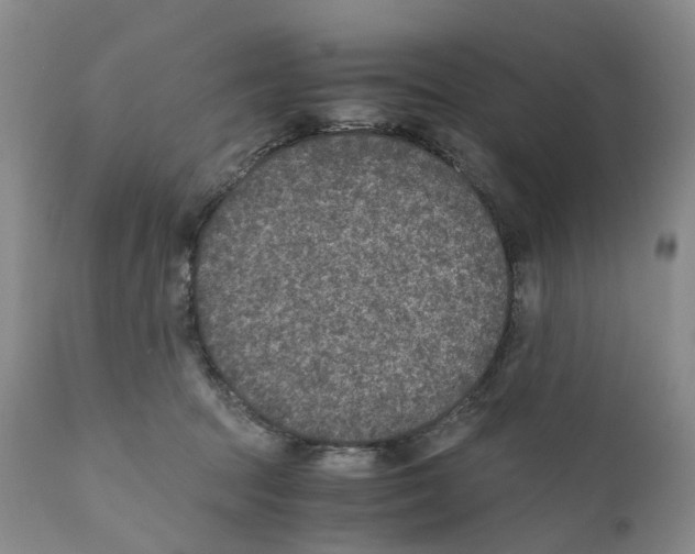 X0000110890369200907161531