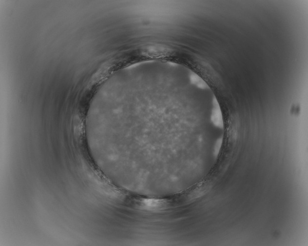 X0000110890371200907161531