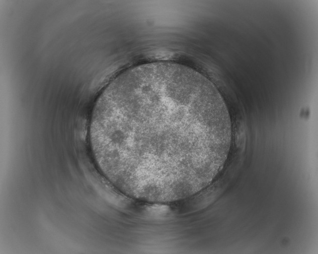 X0000110890374200907161531