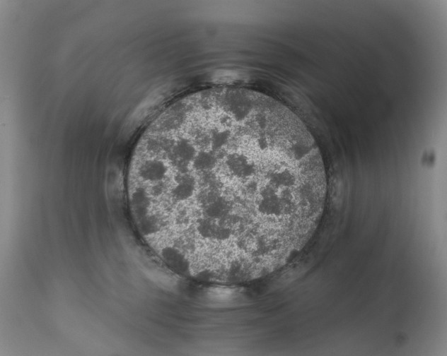 X0000110890375200907161531