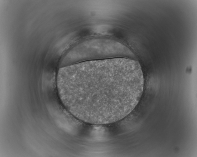 X0000110890376200907161531