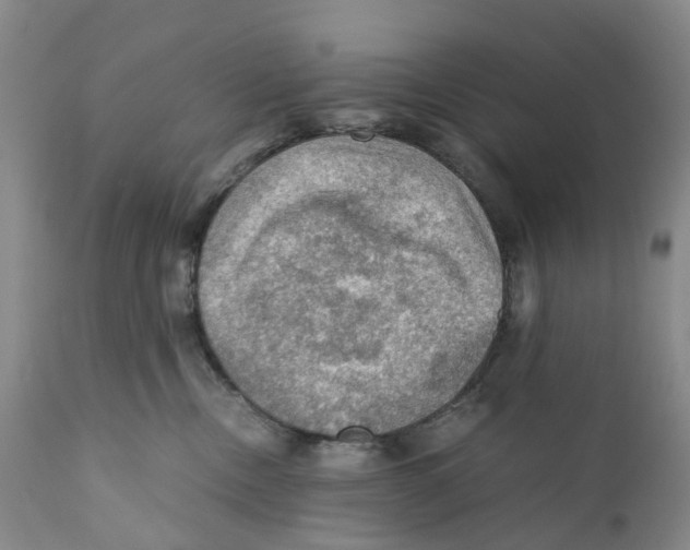 X0000110890378200907161531
