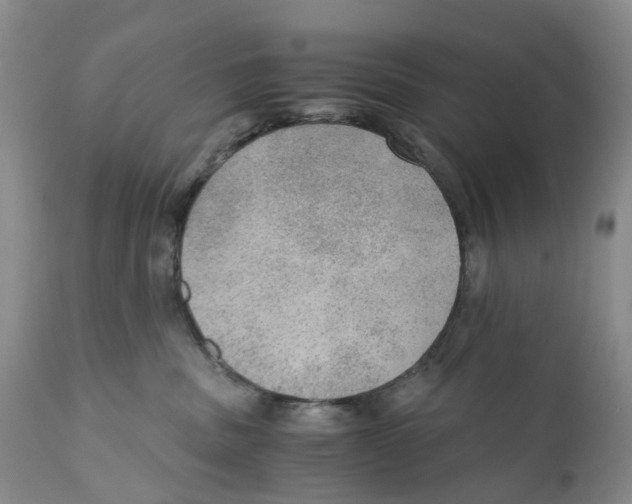 X0000110890379200907161531