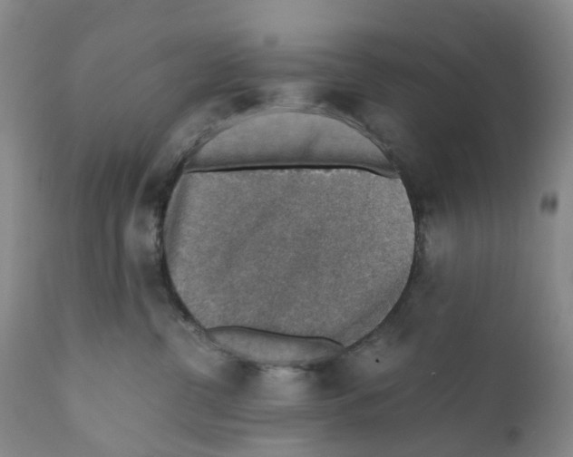 X0000110890380200907161531