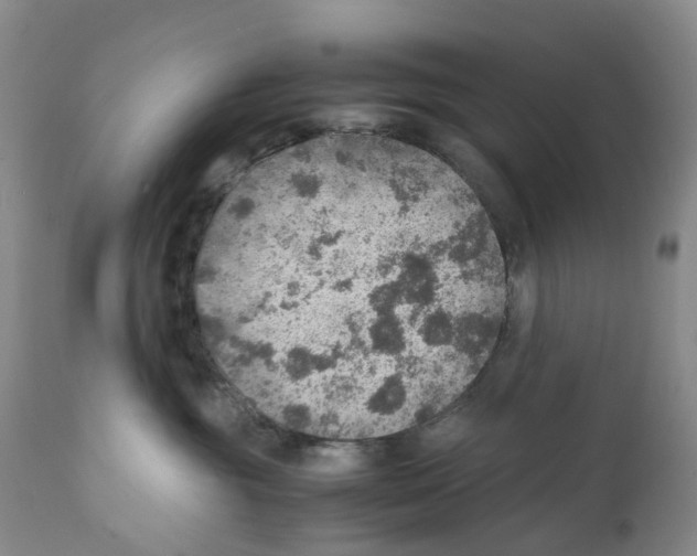 X0000110890381200907161531