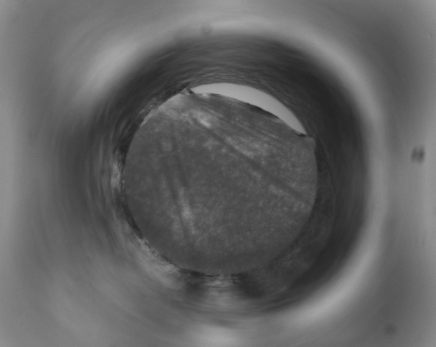 X0000110890382200907161531