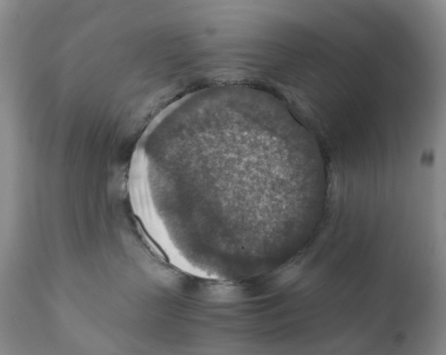 X0000110890383200907161531