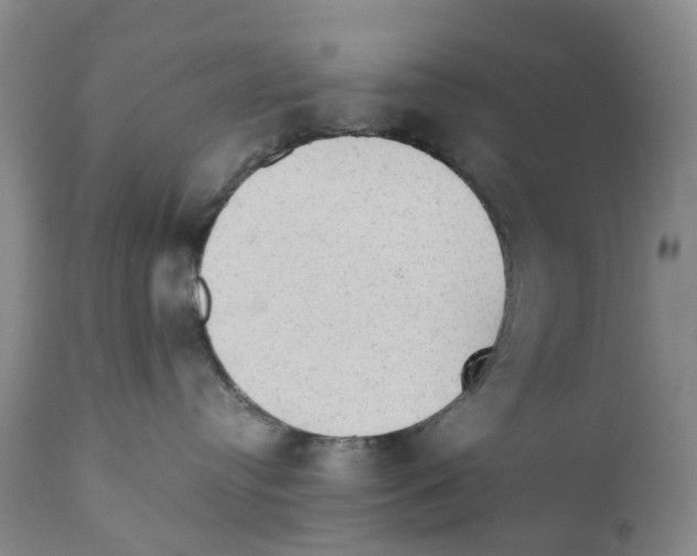 X0000110890384200907161531