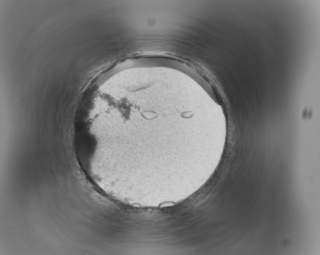X0000110890385200907161531