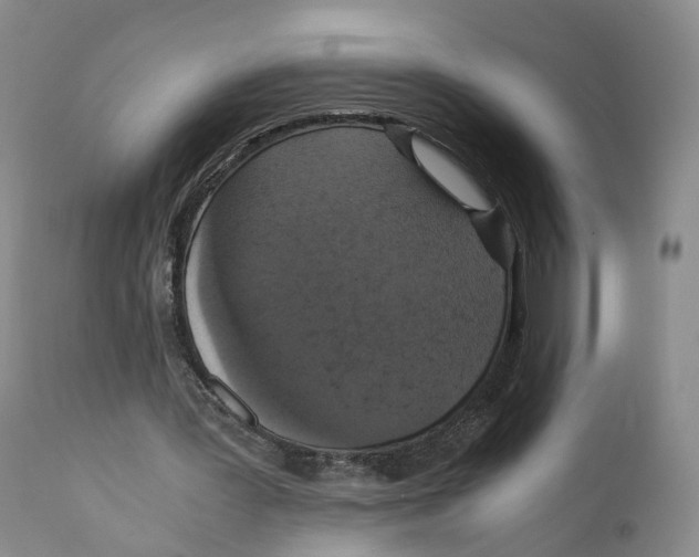 X0000110890387200907161531