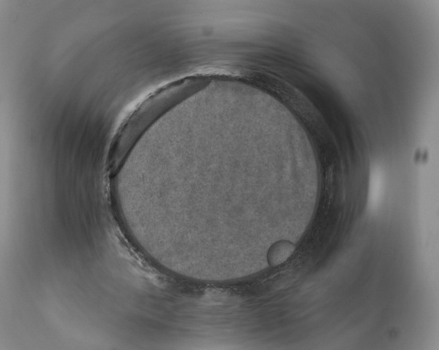 X0000110890388200907161531