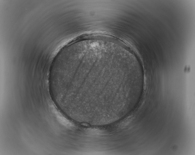 X0000110890389200907161531