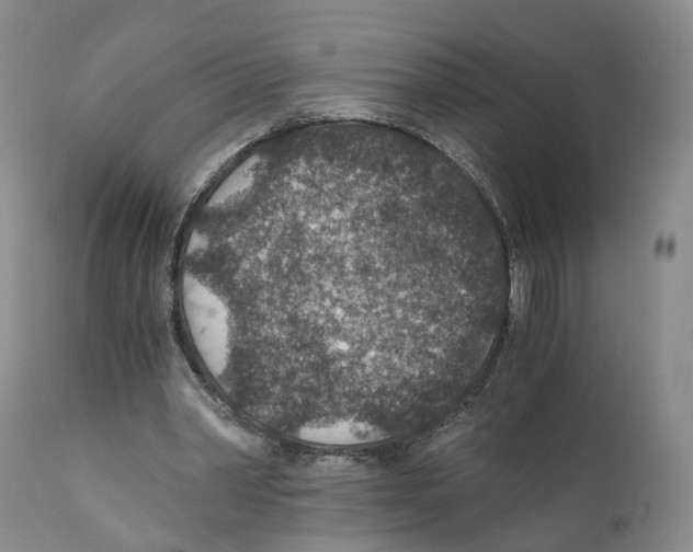 X0000110890390200907161531