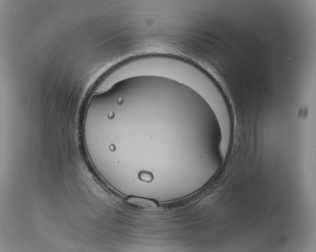 X0000110890391200907161531