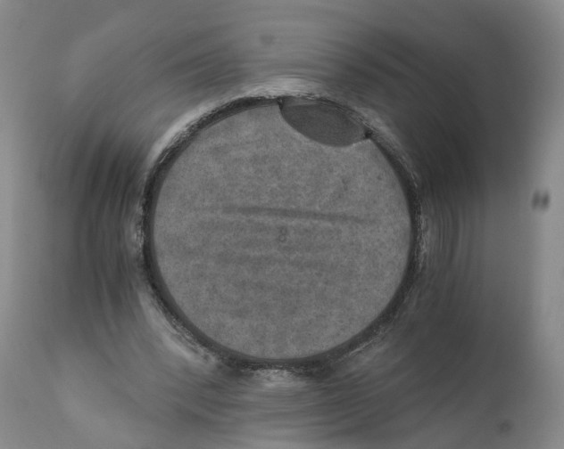 X0000110890392200907161531