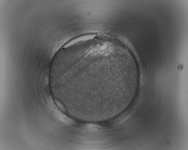 X0000110890393200907161531