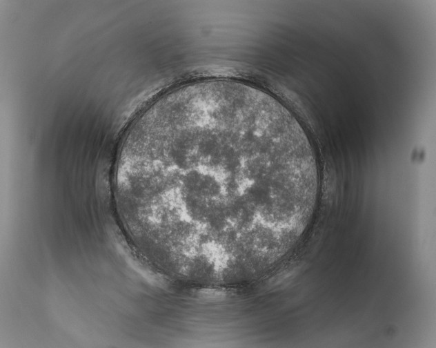 X0000110890394200907161531