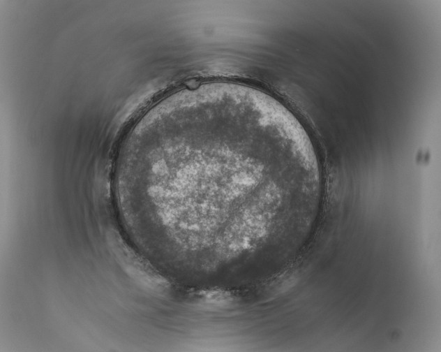 X0000110890395200907161530