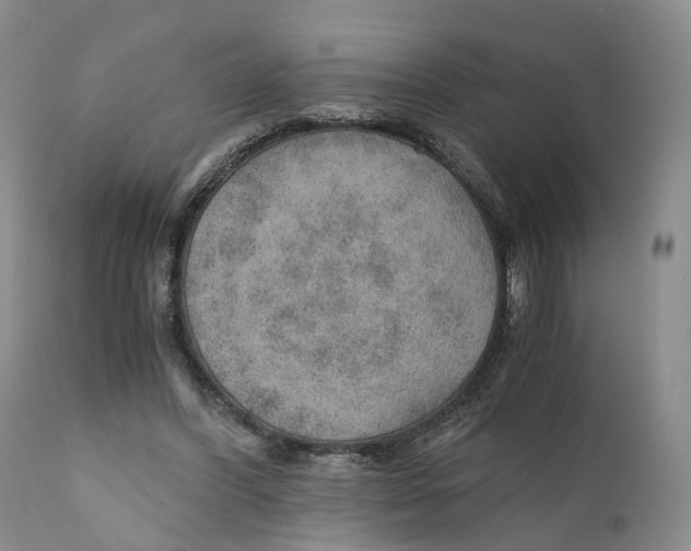 X0000110890396200907161530