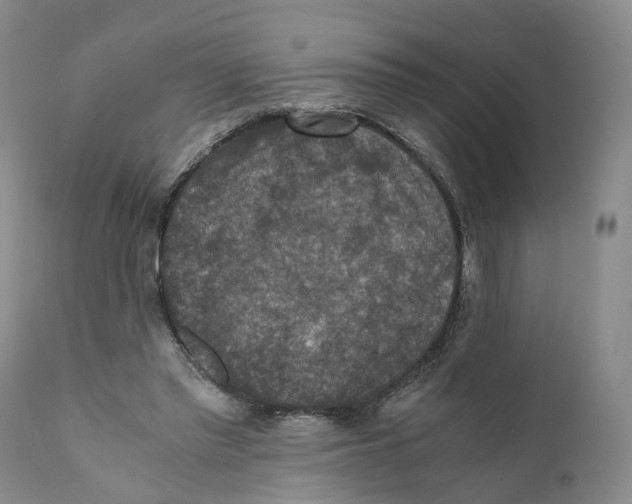 X0000110890397200907161530